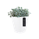 pure straight round 50 white