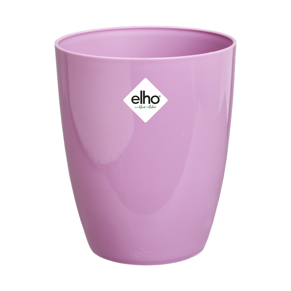 Mască de ghiveci Elho brussels diamond orchid high vivid, 12,5 cm, violet