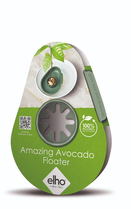 amazing avocado floater leaf green