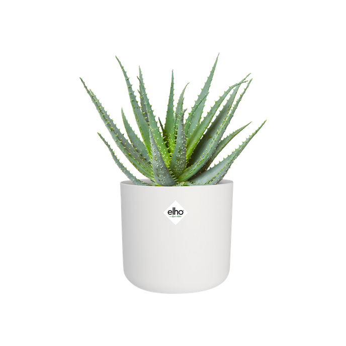 b.for soft rond 18cm blanc