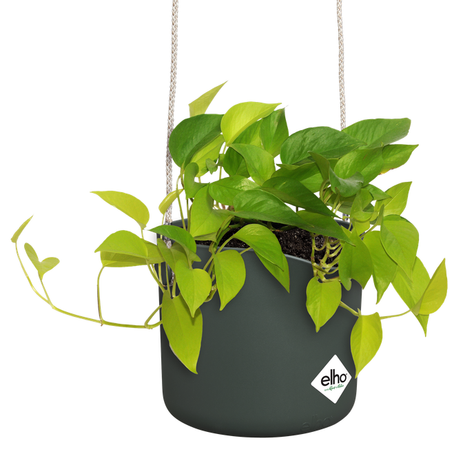 b-for-swing-18cm-leaf-green