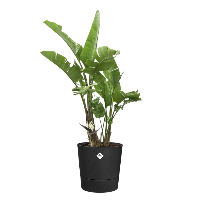 foss round 25cm living black - elho® - Give room to nature