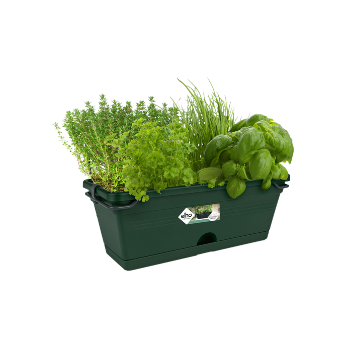 green basics balkonbak mini allin1 30cm blad groen