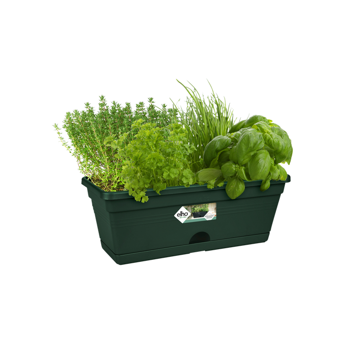 green basics balkonkasten mini 30cm laubgrün