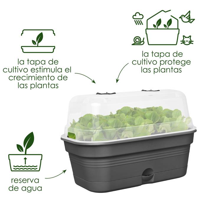 green basics grow tray allin1 l leaf green