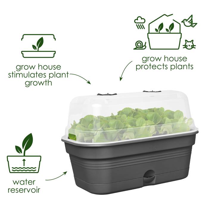 green basics grow tray allin1 m living black