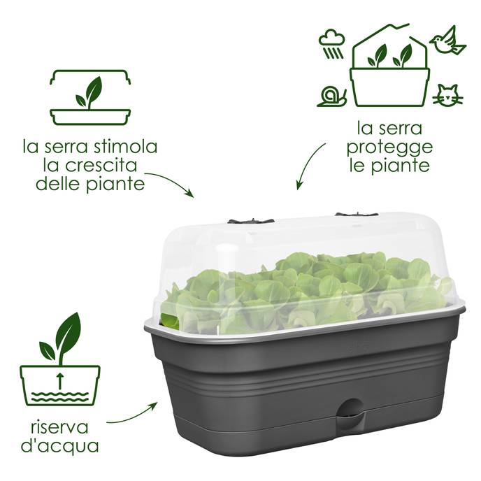 green basics grow tray allin1 m living black