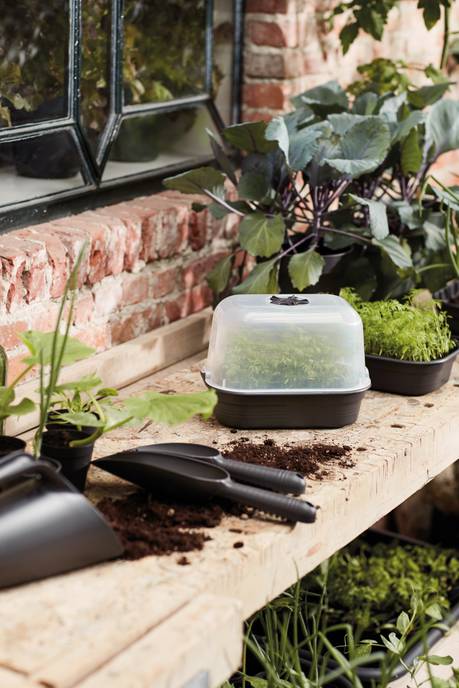 green basics grow tray saucer s living black