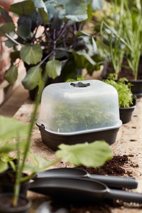 green basics grow tray saucer s living black