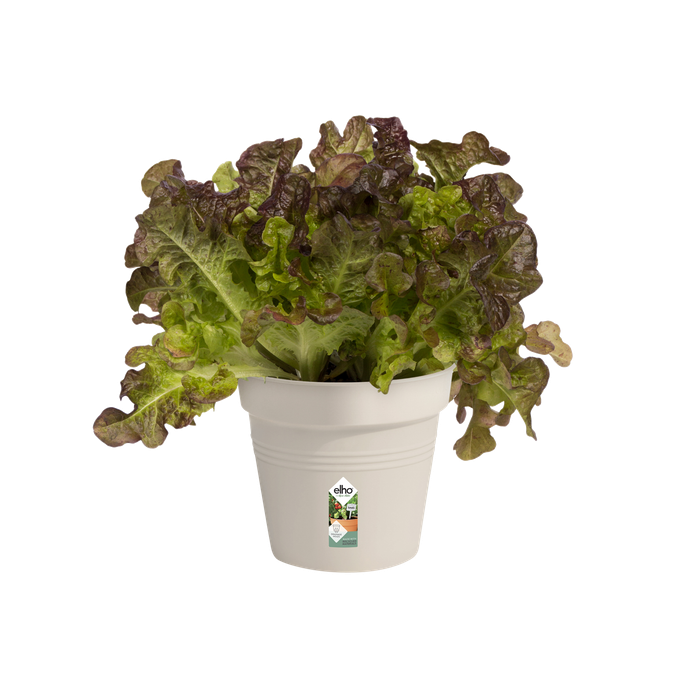 green basics growpot 13cm cotton white