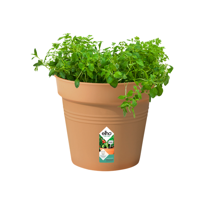 green basics growpot 24cm mild terra