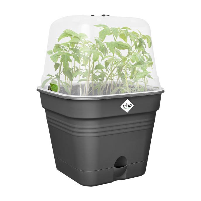 green basics growpot square allin1 15cm living black