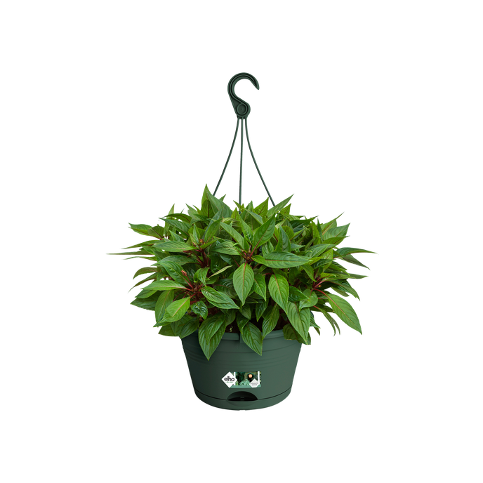 green basics hanging basket 28cm leaf green