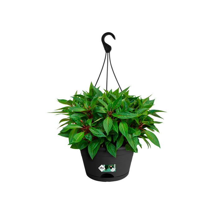 green-basics-hanging-basket-28cm-living-black