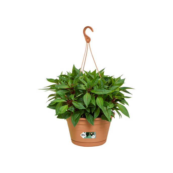 green-basics-hanging-basket-28cm-mild-terra