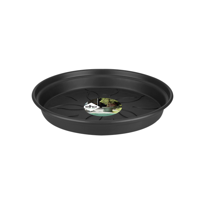 green basics saucer 17cm living black
