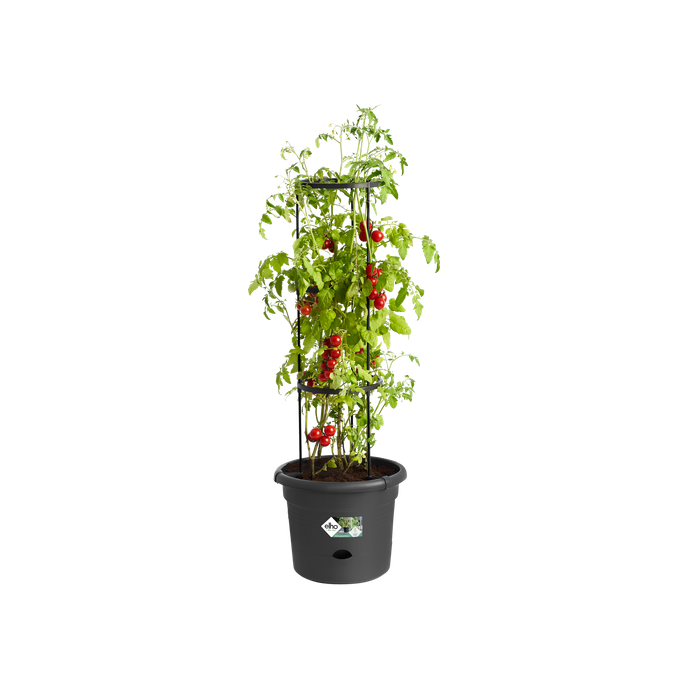 green basics tomato pot 33cm living black