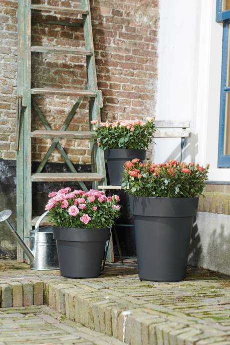 green basics top planter 30cm living noir