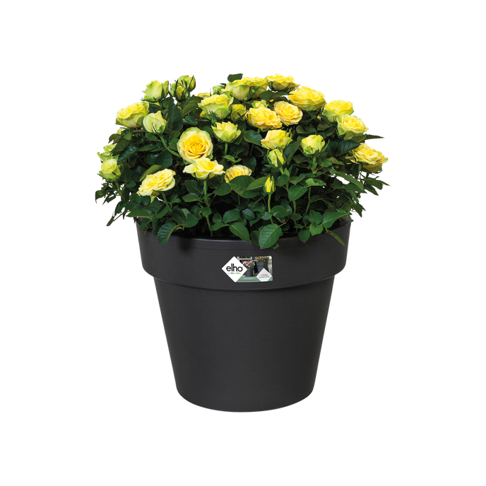 green basics top planter 30cm living noir