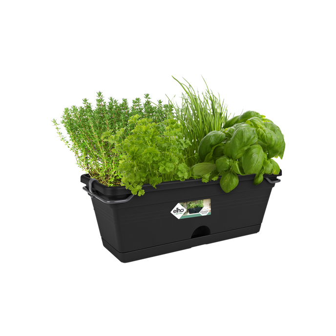 green basics trough mini allin1 30cm living black