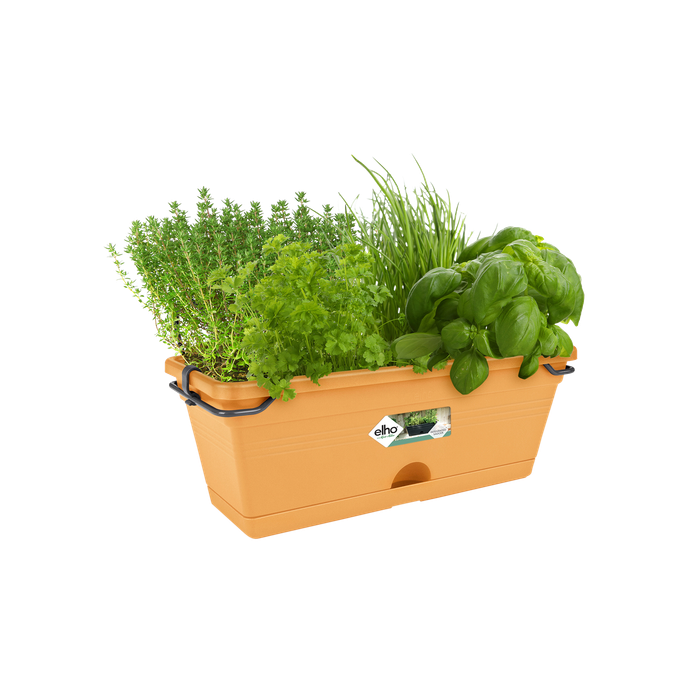 green basics trough mini allin1 30cm mild terra