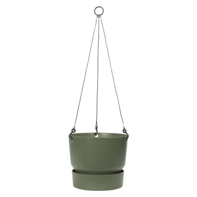 greenville hanging basket 24cm leaf green