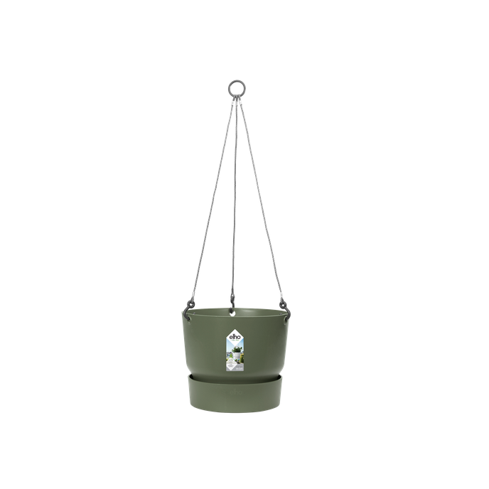greenville hanging basket 24cm leaf green
