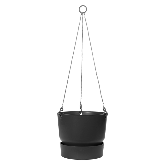 greenville hanging basket 24cm living black