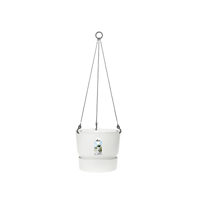 greenville hanging basket 24cm white