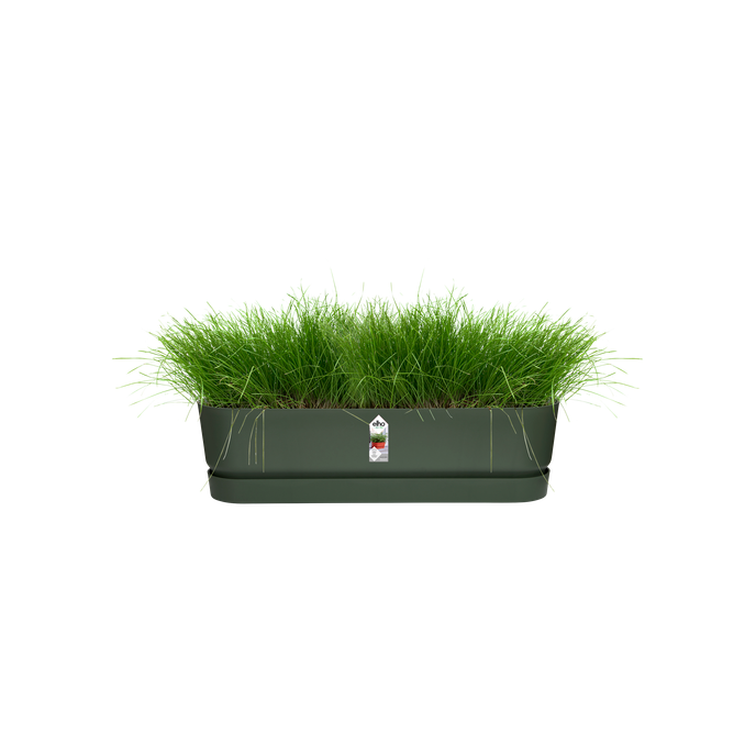 greenville pflanzgefäß lang 70cm laubgrün