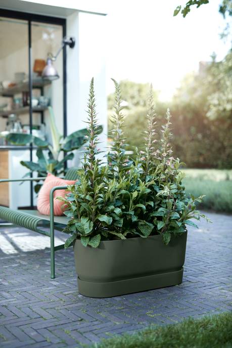 greenville terrase 80cm roues leaf green