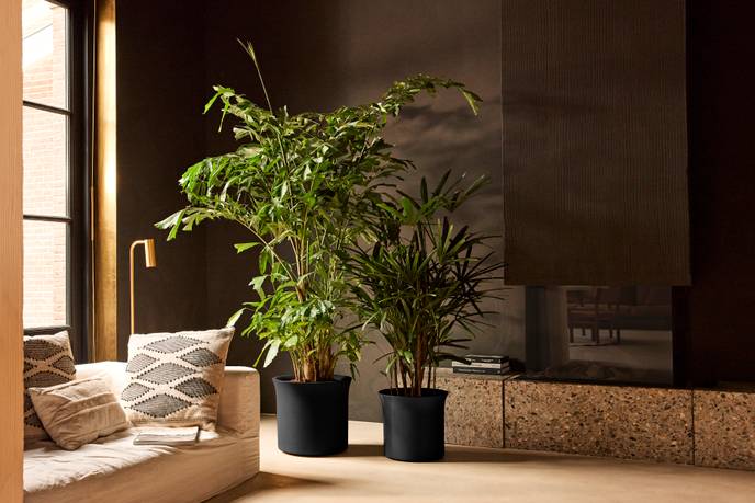 june tulip 40cm noir - elho® - Give room to nature