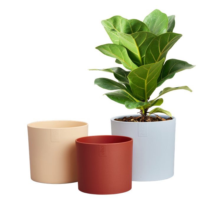 lex pott set 14cm sky blue - elho® - Give room to nature