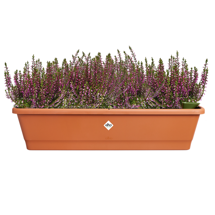 Fioriera Da Balcone Con Irrigazione Automatica - Vaso Rettangolare 80 Cm, Plastica Resistente UV, Con Clip Metalliche, Per Esterni