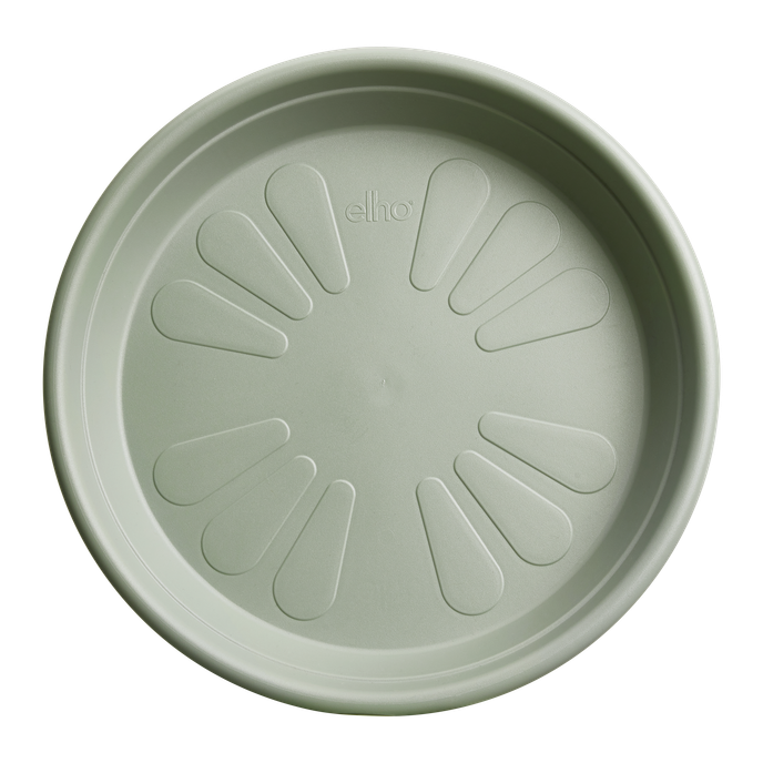 universal saucer round 40cm thyme green