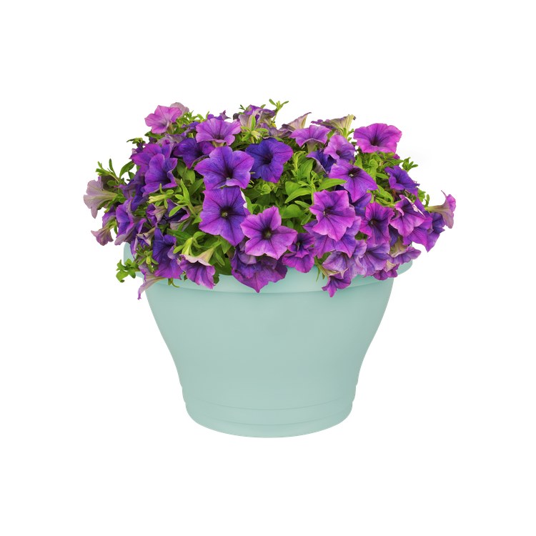 Elho Corsica Wall Basket 39cm Purple Cherry Mint Anthracite Taupe White Terra